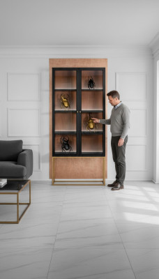 Display cabinets showcase cabinet wood glass furniture design living room glass cabinet