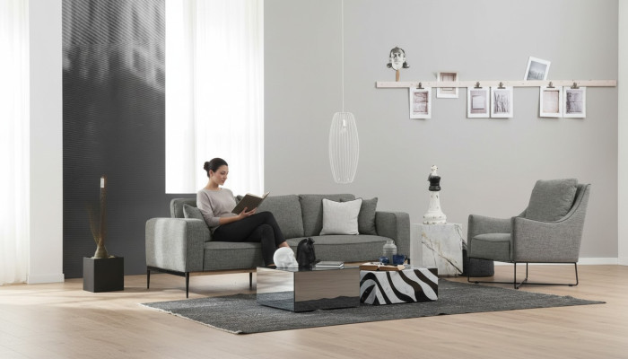Two-seater living room set armchair double-seater fabric sofas modern design gray