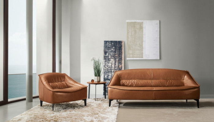 Luxury Suite Set 2-Piece Sofa Set 3+1 Seat Modern Sofa and Armchair