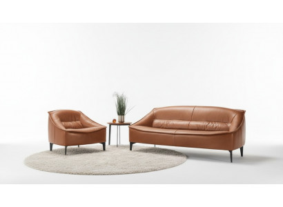 Luxury Suite Set 2-Piece Sofa Set 3+1 Seat Modern Sofa and Armchair