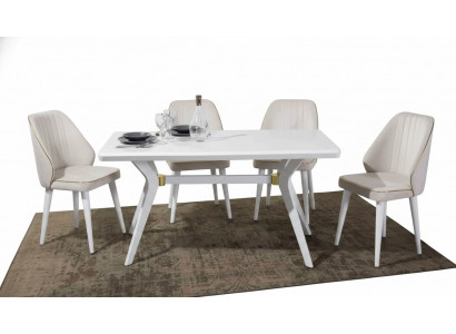 Esgruppen Set Luxury White 4x Chairs Stainless Steel Furniture Wooden Furniture