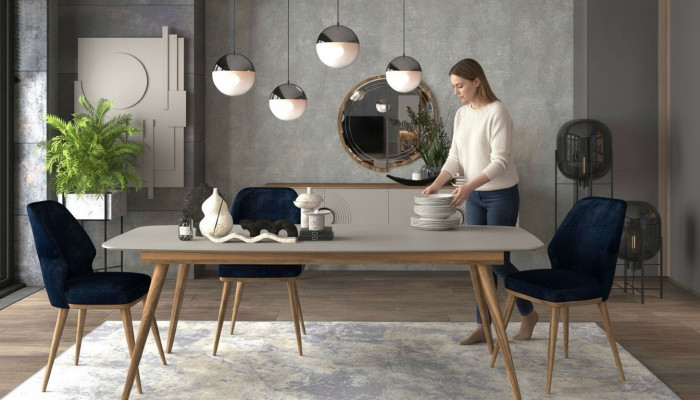 Modern 6-piece dining furniture