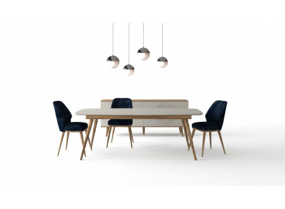 Modern 6-piece dining furniture