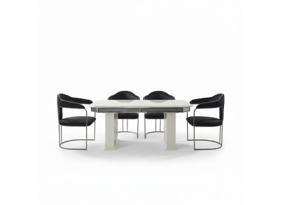 Complete Set Dining Table 4x Chairs Dining Room Set Dining Group Wood Table Tables 5-piece Set