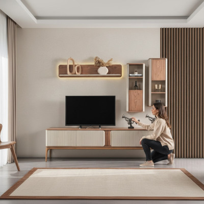 A stylish TV cabinet for your living room in a modern style