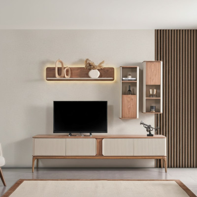 A stylish TV cabinet for your living room in a modern style