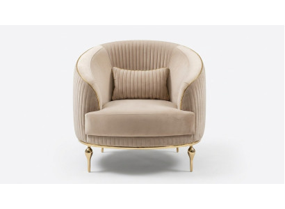 Living room armchair upholstery fabric single-seater upholstered seat luxury.