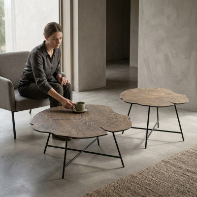 Set of two luxurious coffee tables for the living room in a modern style