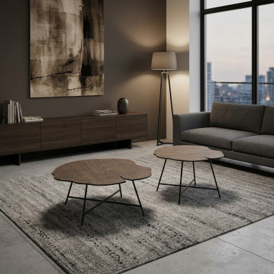 Set of two luxurious coffee tables for the living room in a modern style