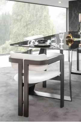 Dining room chair, chair, armchair, design dining table, seat, wood, luxury, white