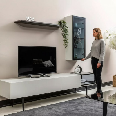 An incomparable TV cabinet and shelves in a minimalist style
