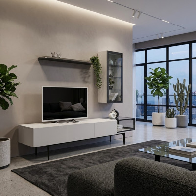 An incomparable TV cabinet and shelves in a minimalist style