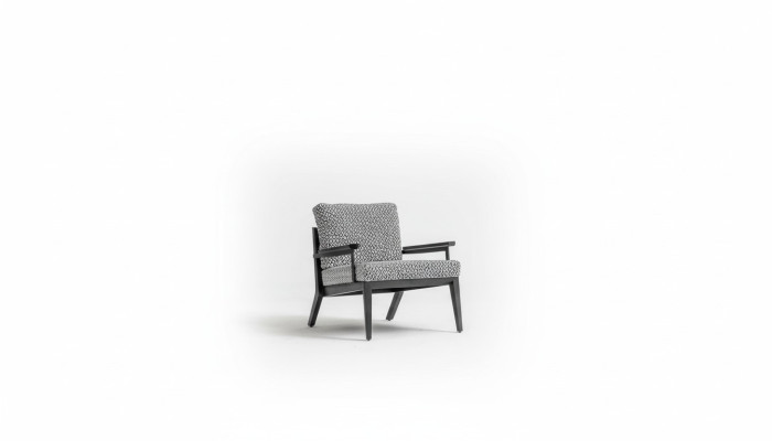 Armchair Sitters Living Room Modern Design Luxury Seating Relax Club