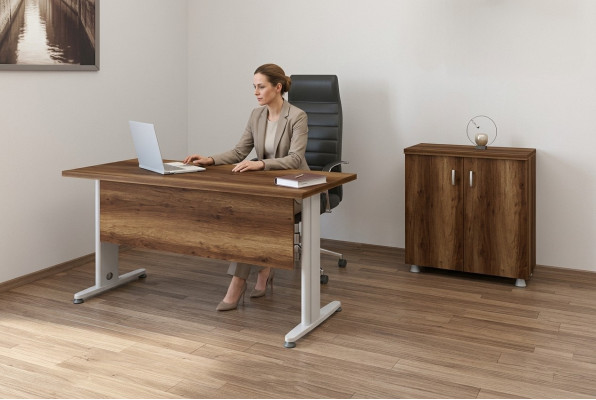 Complete office furniture set study room cabinet desk 2-piece set