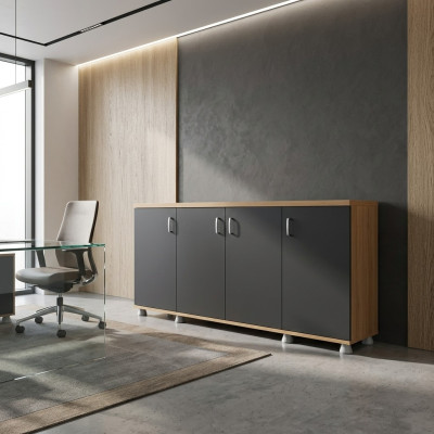 Cabinet Office Furniture Study Wood Office Cabinet Shelf Filing Cabinet