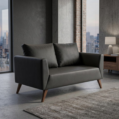 Stylish Two-Seater Modern Black Couch Study Room Furniture Office