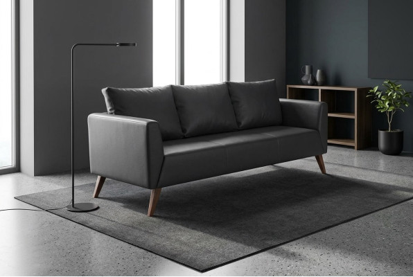 Designer sofa black couch office furniture luxury study furniture