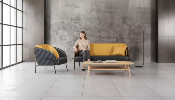 Modern luxury sofa set two-seater armchair study design furniture