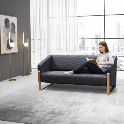 Sofa 2-seater luxury furniture couch modern designer study office furniture