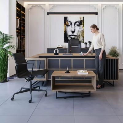 Modern designer furniture set for an executive office with 3 elements