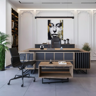Modern designer furniture set for an executive office with 3 elements