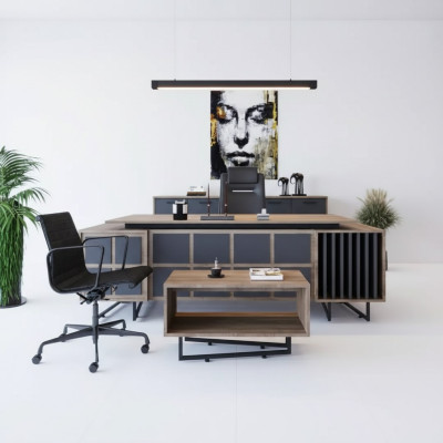 Modern designer furniture set for an executive office with 3 elements