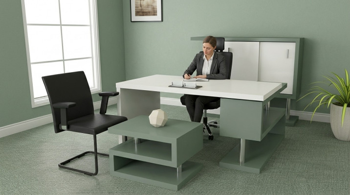 Modern exclusive office furniture wooden desk, filing cabinet, coffee table