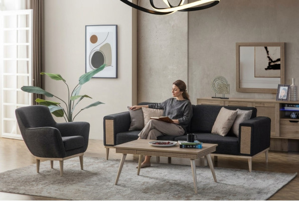 Gray living room set luxury three-seater upholstered armchair style textile furniture