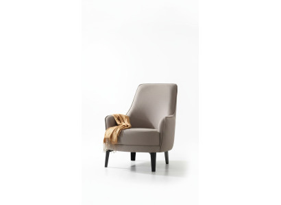 Modern armchairs, wingback chairs, cocktail chairs, luxury design furniture, wooden furniture