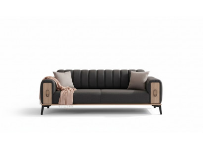 Stylish three-seater modern living room furniture gray wooden furniture couches