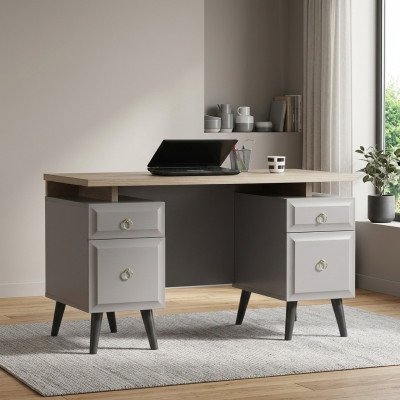 Computer desk, writing desk, children's desk, wood, gray, table design