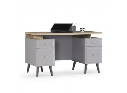 Computer desk, writing desk, children's desk, wood, gray, table design