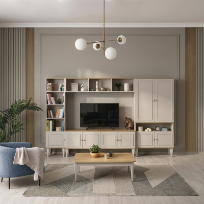 Living room wall unit TV stand wood RTV lowboard gray shelf set