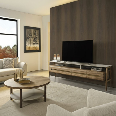 RTV lowboard TV stand wall unit sideboard cabinet wood brown stylish