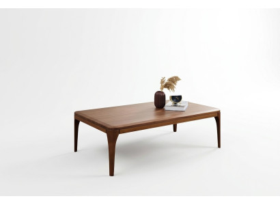 Coffee table side table living room end table wood brown
