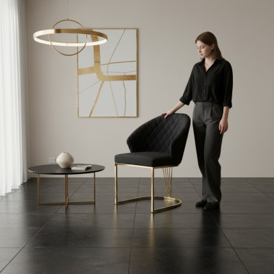 Upholstered Chair Dining Chair Wooden Chair Kitchen Chair Black Modern Gold