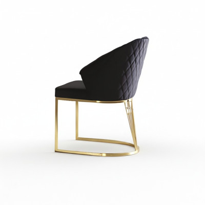 Upholstered Chair Dining Chair Wooden Chair Kitchen Chair Black Modern Gold