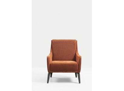 Armchair Wingback Chair Fabric Armchair Single-Seater Fabric Orange Upholstered Furniture