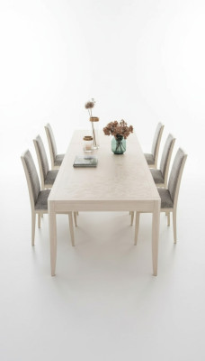 Chair set suite table 6x chairs dining room design wood dining group 7-piece