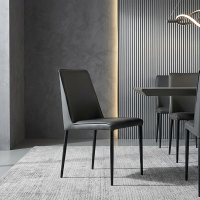 Completely black dining room chair designer wood chairs textile armchairs