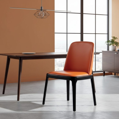 Orange-black dining chair Stylish armchairs Modern wooden chair