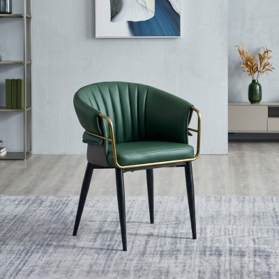 Green dining chair, designer wood legs, faux leather chairs, stainless steel furniture