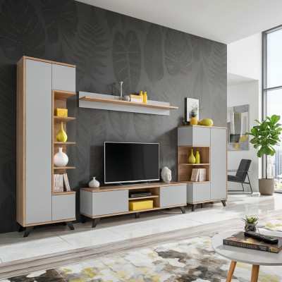 Modern complete wall TV shelf for the living room