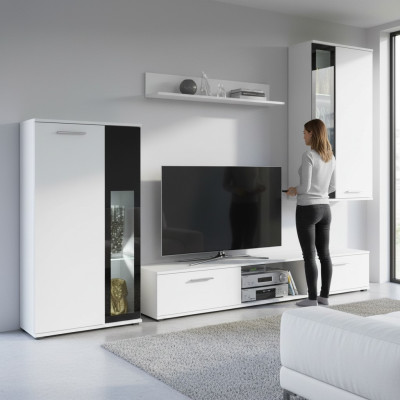 Luxury furnished wall unit for modern living room
