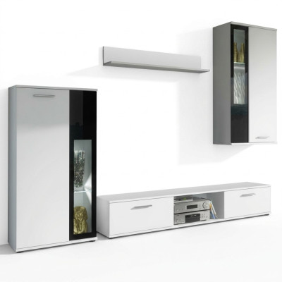 Luxury furnished wall unit for modern living room