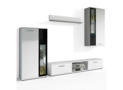 Luxury furnished wall unit for modern living room