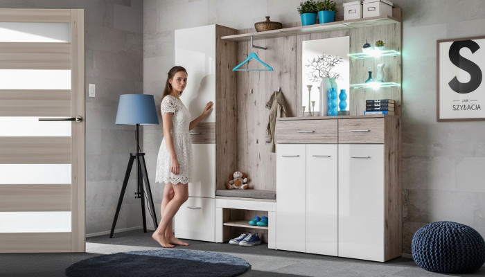 Modern furniture set for shoes