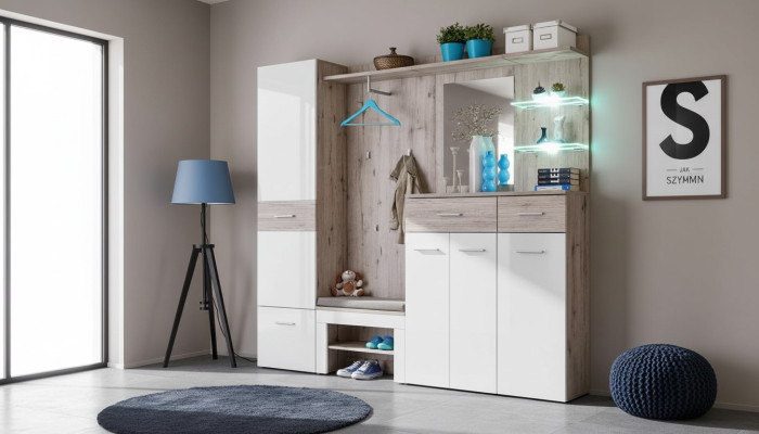 Modern furniture set for shoes