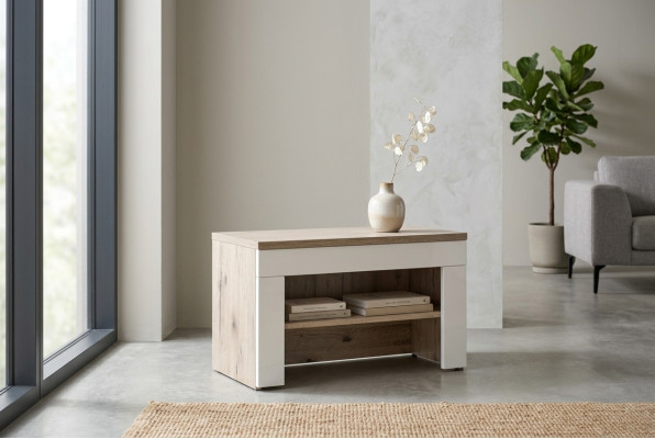 Modern wooden shoe cabinet