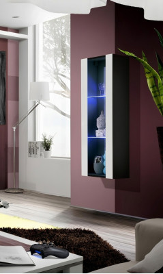 Modern wall display cabinet